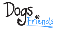 Dogs Friends – szkolenie psów Poznań