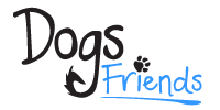 Dogs Friends – szkolenie psów Poznań