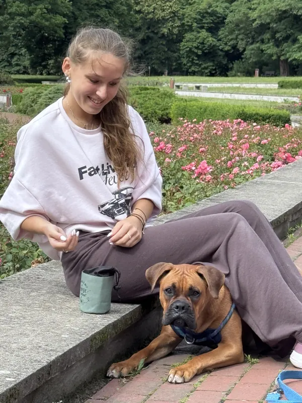 Bokser odpoczywa przy opiekunce podczas kursu posłuszeństwa w Poznaniu