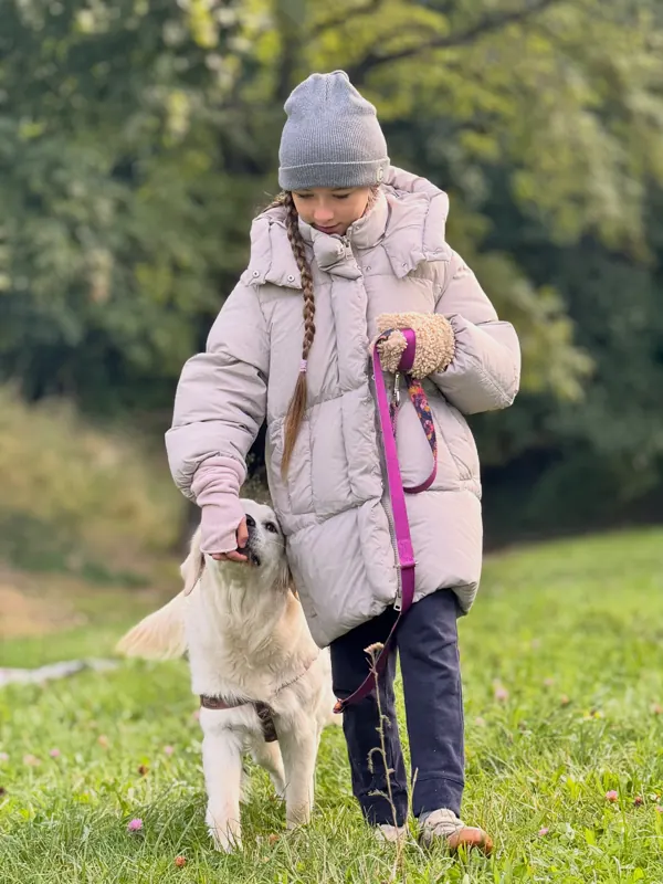 Szkolenie podstawowe psa w Poznaniu – golden retriever idzie przy nodze na luźnej smyczy