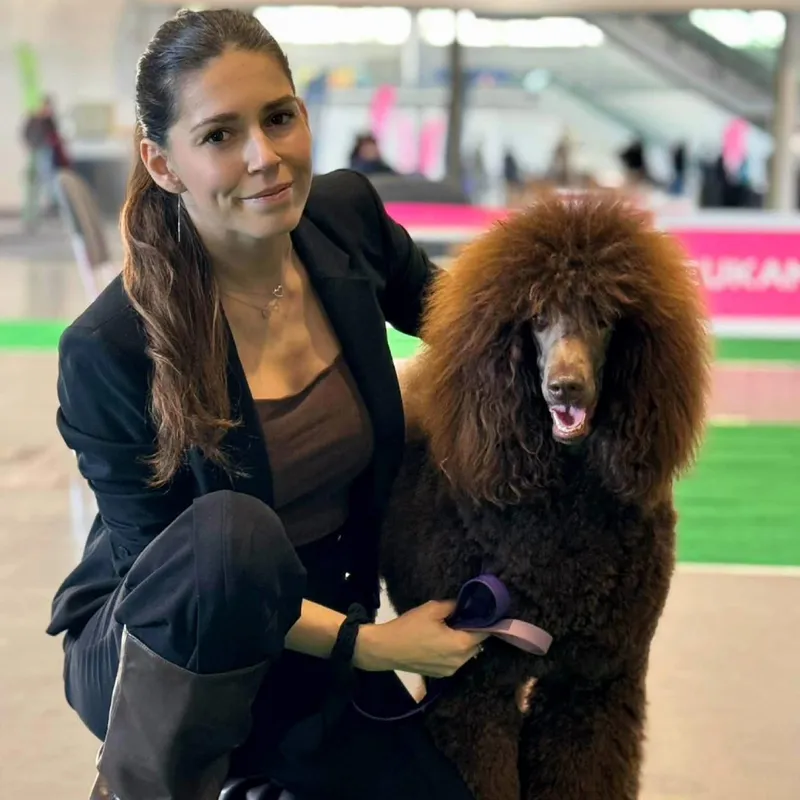 Szkolenie psów w Poznaniu – instruktorka Dogs Friends z pudlem