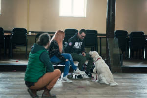 20170311-2K3A8852-kopia